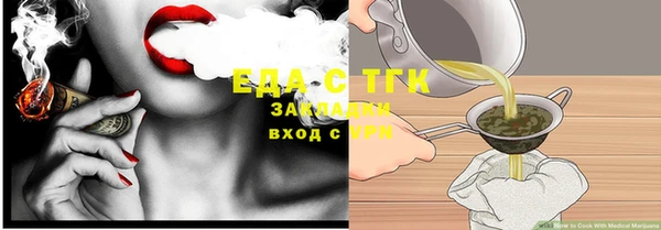 индика Ессентукская