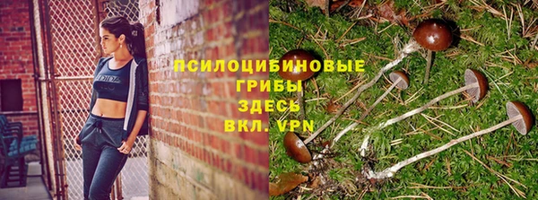 mdpv Лихославль