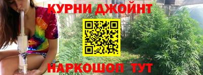 эйфоретик Берёзовский