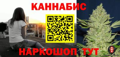 СК Гатчина