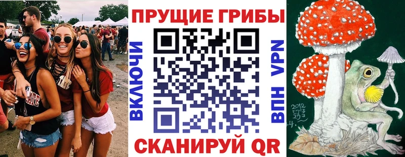 где купить наркоту  Железноводск  Галлюциногенные грибы GOLDEN TEACHER 