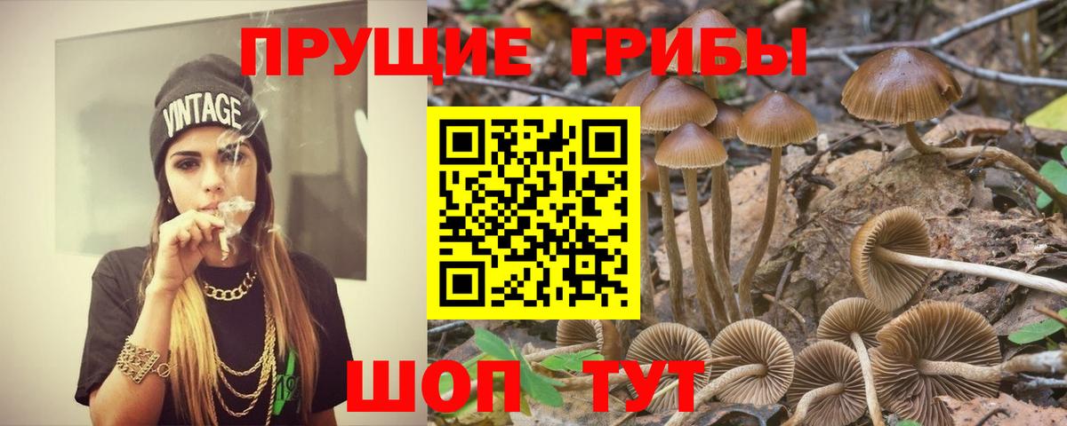 Галлюциногенные грибы MAGIC MUSHROOMS Железноводск