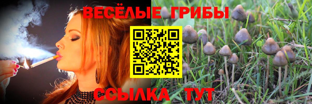 Псилоцибиновые грибы ЛСД  Вход с VPN  Железноводск  Псилоцибиновые грибы ЛСД 