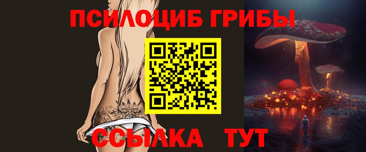цена наркотик  Галлюциногенные грибы GOLDEN TEACHER  Железноводск  Псилоцибиновые грибы MAGIC MUSHROOMS 